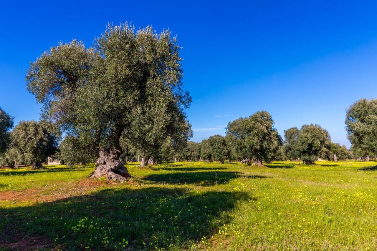 Casa Bixie Old Town Of Ostuni Puglia Apartment Ngoại thất bức ảnh